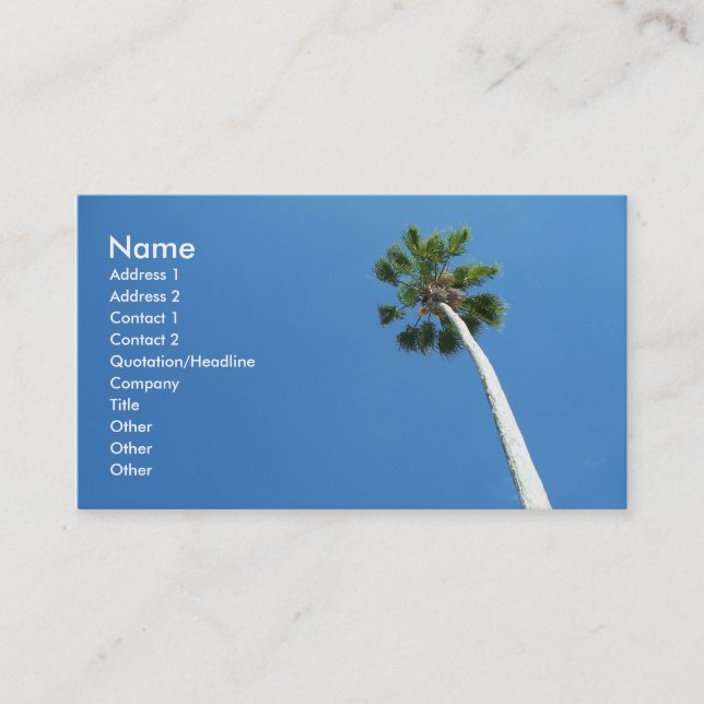 West Palm Beach Florida Palm Tree Business Card (Front)