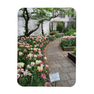 West Side Community Garden Tulip New York City NYC Magnet