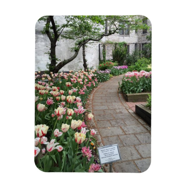 West Side Community Garden Tulip New York City NYC Magnet (Vertical)