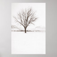 West Texas BLizzard