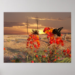 West Texas Sunset Poster