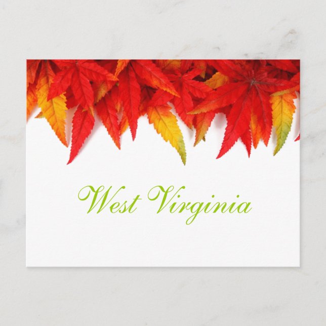 West Virginia Autumn Leaves Postcard (Front)