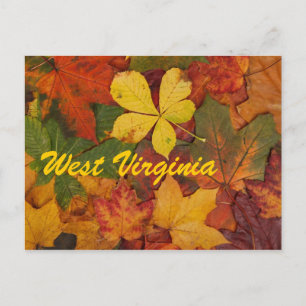 West Virginia Autumn Leaves Postcard