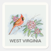 West Virginia bird flower