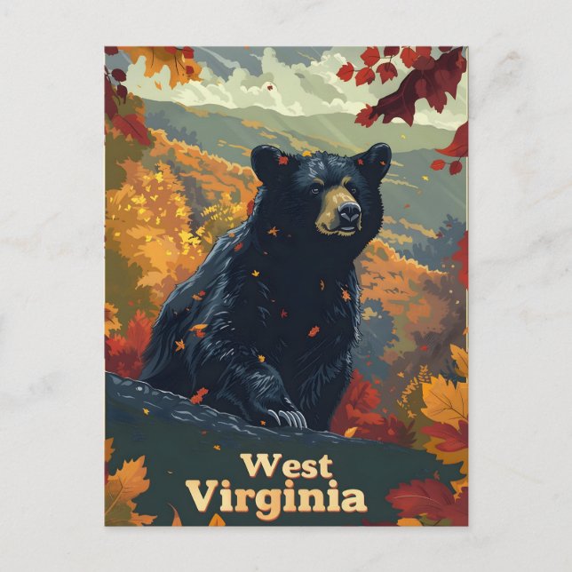 West Virginia Black Bear Postcard (Front)