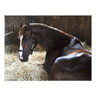 West Virginia Derby Winner "Madefromlucky" Photo Print