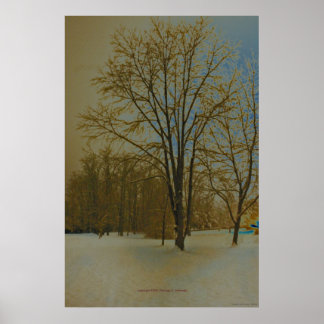 West Virginia in Snow Poster
