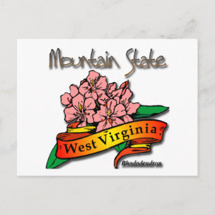 West Virginia Mountain State Rhododendron Postcard