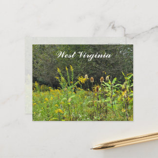West Virginia Wildflowers Postcard