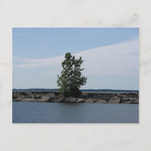 Westcott Bay Postcard