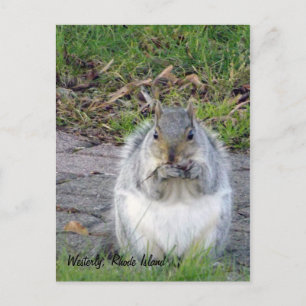 Westerly, Rhode Island Postcard