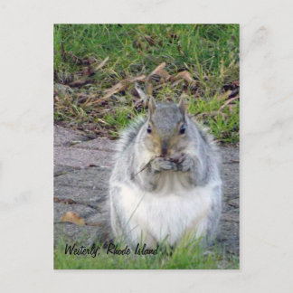 Westerly, Rhode Island Postcard