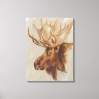Western American Animal Study | Moose Portrait