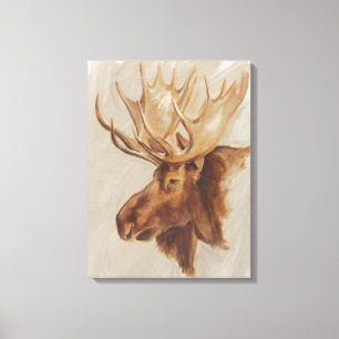 Western American Animal Study Moose Portrait Canvas Print