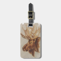 Western American Animal Study | Moose Portrait
