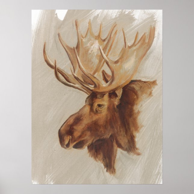 Western American Animal Study | Moose Portrait Poster (Front)