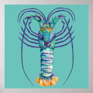 Western Australian Painted Rock Lobster Poster