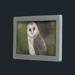 Western Barn Owl Belt Buckle - Green<br><div class="desc">Western Barn Owl - Migned Watercolor Painting Art Beautiful Forest Bird</div>