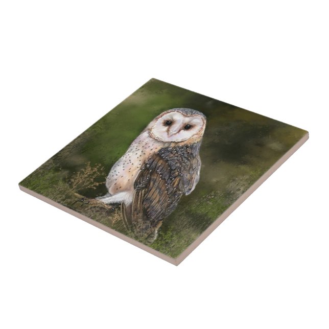 Western Barn Owl Ceramic Tile (Side)