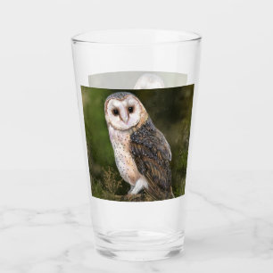 Western Barn Owl Glass