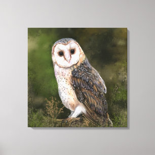 Western Barn Owl - Migned Watercolor Painting Canvas Print