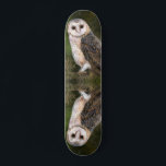 Western Barn Owl - Migned Watercolor Painting Skateboard<br><div class="desc">Western Barn Owl - Migned Watercolor Painting Art Beautiful Forest Bird</div>