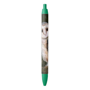 Western Barn Owl Pen
