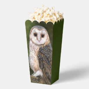 Western Barn Owl Popcorn Box