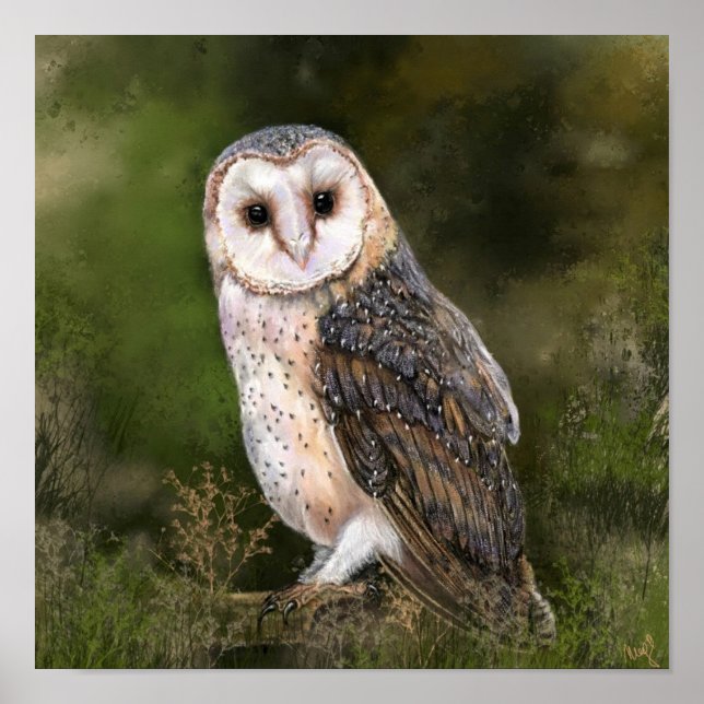Western Barn Owl Poster Painting (Front)