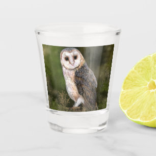 Western Barn Owl Shot Glass