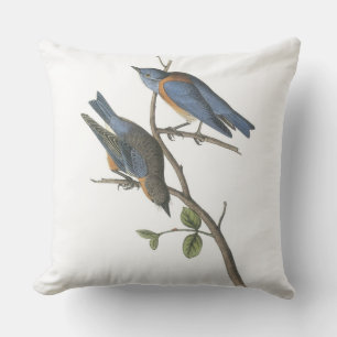 Western Bluebird by Audubon Outdoor Cushion