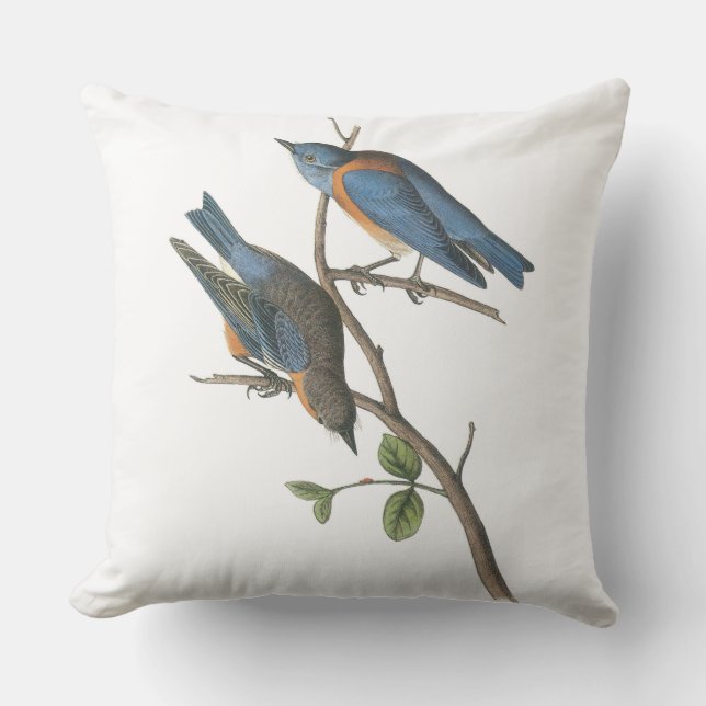 Western Bluebird by Audubon Outdoor Cushion (Front)