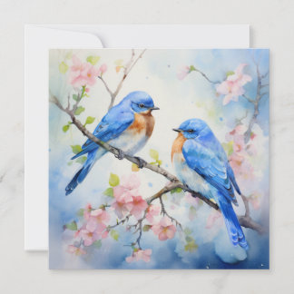 Western Bluebirds Holiday Card