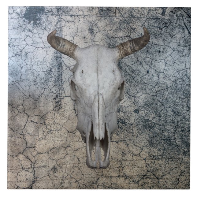 Western Bull Cow Cattle Skull   Ceramic Tile (Front)