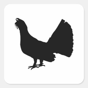 Western capercaillie square sticker