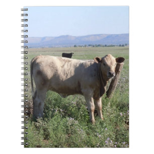 Western Cattle Herd Rural Landscape Scene Notebook
