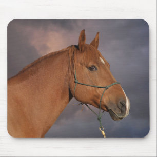 Western Chestnut Brown Horse Mouse Pad