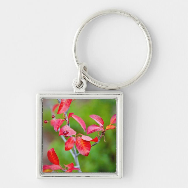 Western Choke Cherry (Prunus Virginiana) In Fall Key Ring (Front)
