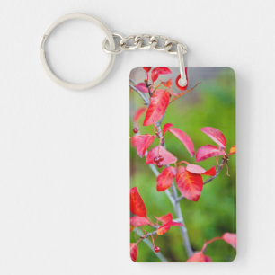 Western Choke Cherry (Prunus Virginiana) In Fall Key Ring