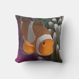 Western Clown Anemone Fish Cushion