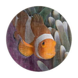 Western Clown Anemone Fish Cutting Board