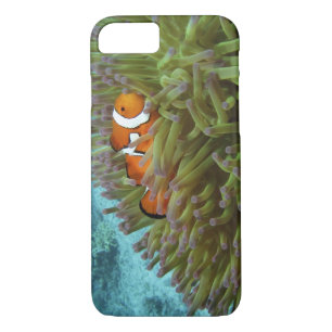 Western Clownfish ( Amphiprion ocellaris ) iPhone 8/7 Case