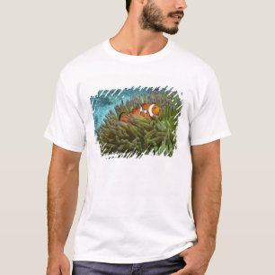 Western Clownfish ( Amphiprion ocellaris ) T-Shirt