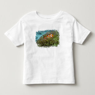 Western Clownfish ( Amphiprion ocellaris ) Toddler T-Shirt