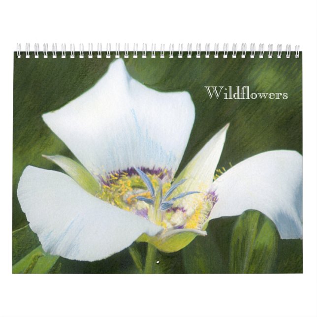 Western CO Wildflower Drawings Calendar (Cover)