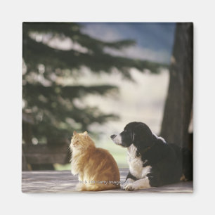 Western Colorado, USA Magnet