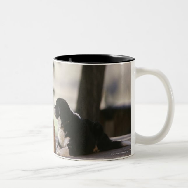 Western Colorado, USA Two-Tone Coffee Mug (Right)