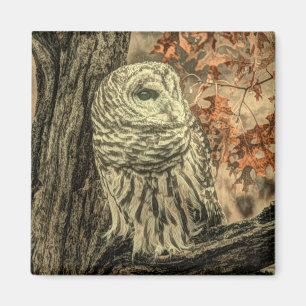 western country autumn leaves oak tree white owl magnet