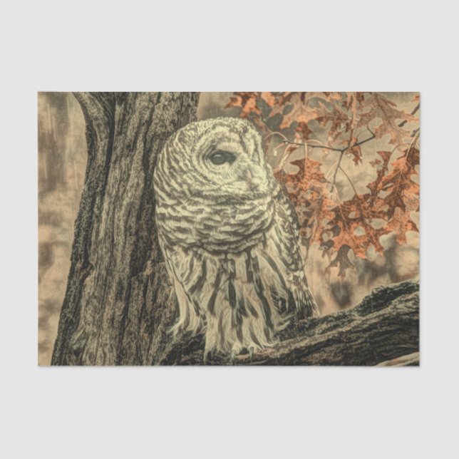 western country autumn leaves oak tree white owl tissue paper (Front)