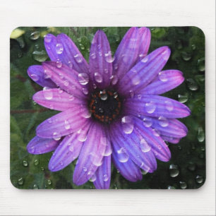 Western Country garden morning Dew purple daisy Mouse Pad